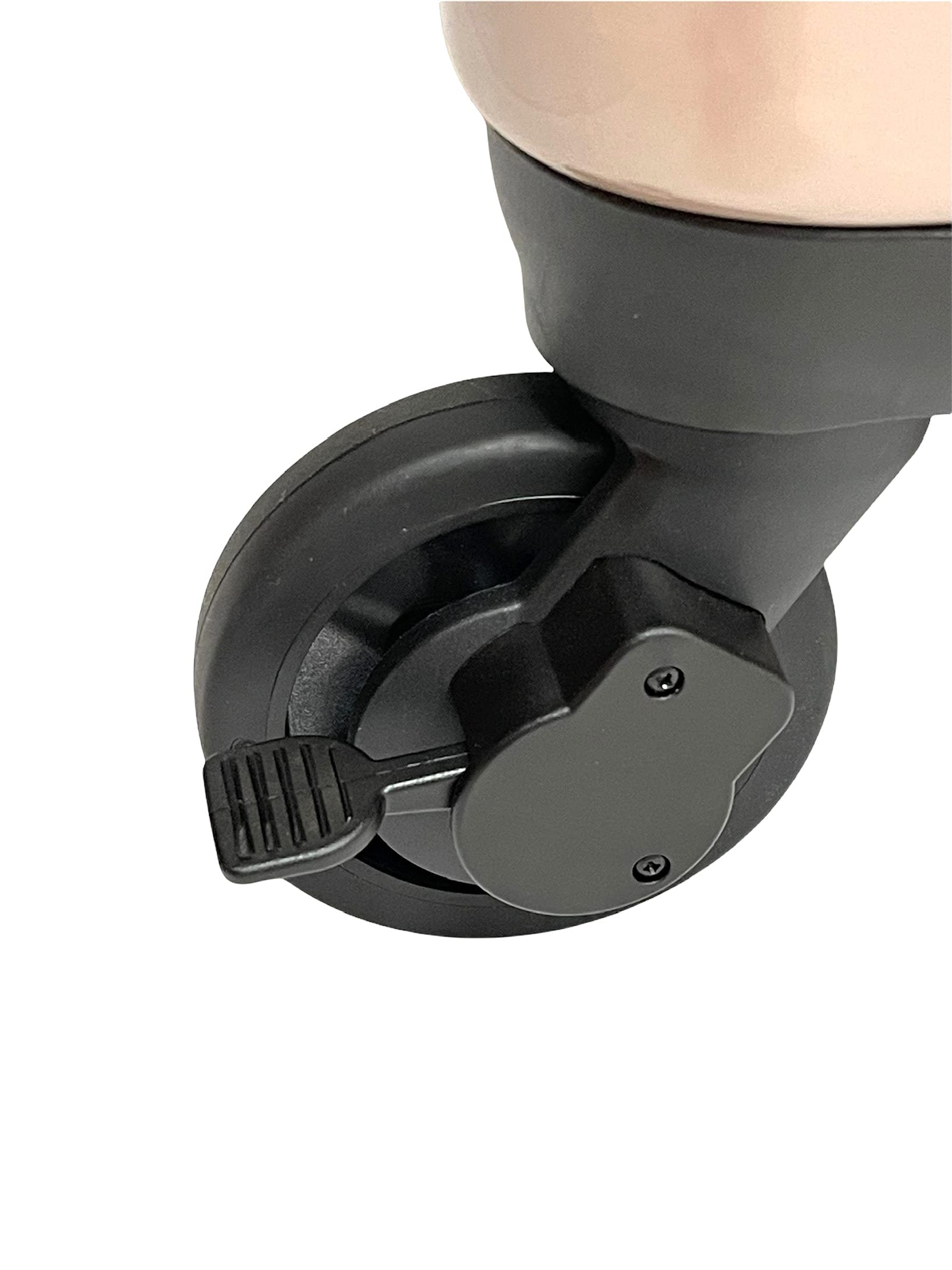 Amazon | (ルイアンドアグリ) RUI&AGURI ペットキャリー ハードケース